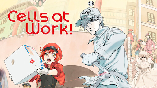 Cells at Work Review  Anime UK News